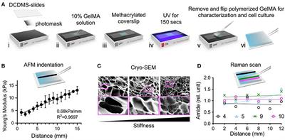 Advances of Stem Cell-Laden Hydrogels With Biomimetic Microenvironment for Osteochondral Repair